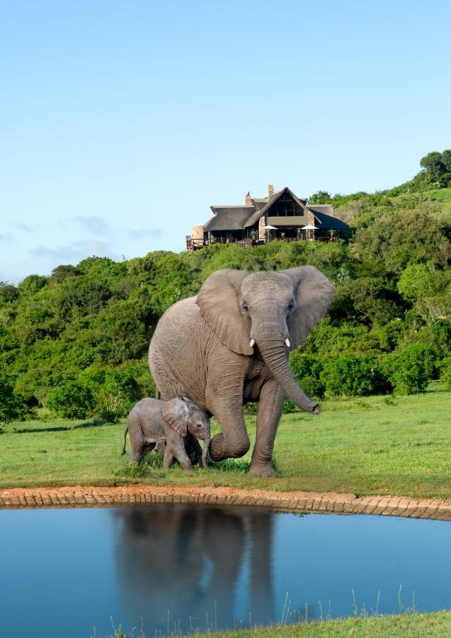 Hopewell Private Game Reserve Buyskloof Ngoại thất bức ảnh