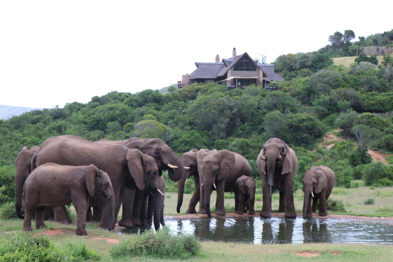 Hopewell Private Game Reserve Buyskloof Ngoại thất bức ảnh