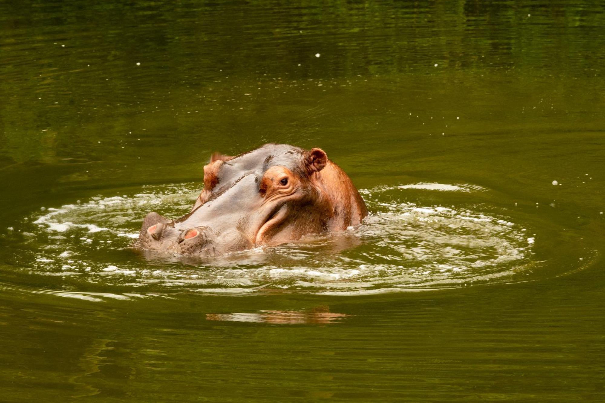 Hopewell Private Game Reserve Buyskloof Ngoại thất bức ảnh