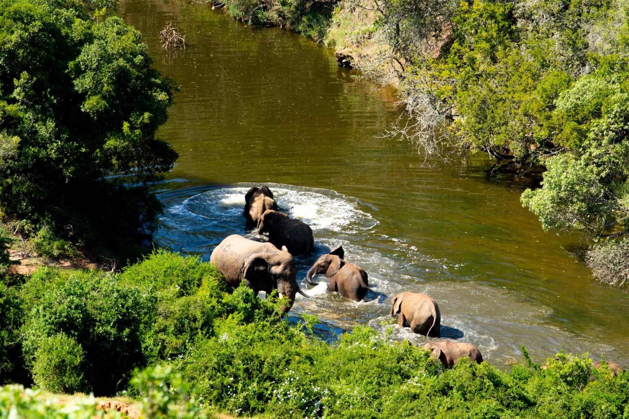 Hopewell Private Game Reserve Buyskloof Ngoại thất bức ảnh